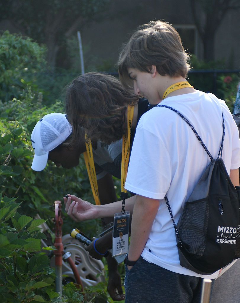 Emile Ndabarishe, Leonardo Caetano and Giancarlo Auriema pick fresh blueberries